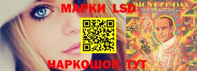 амф Владимир