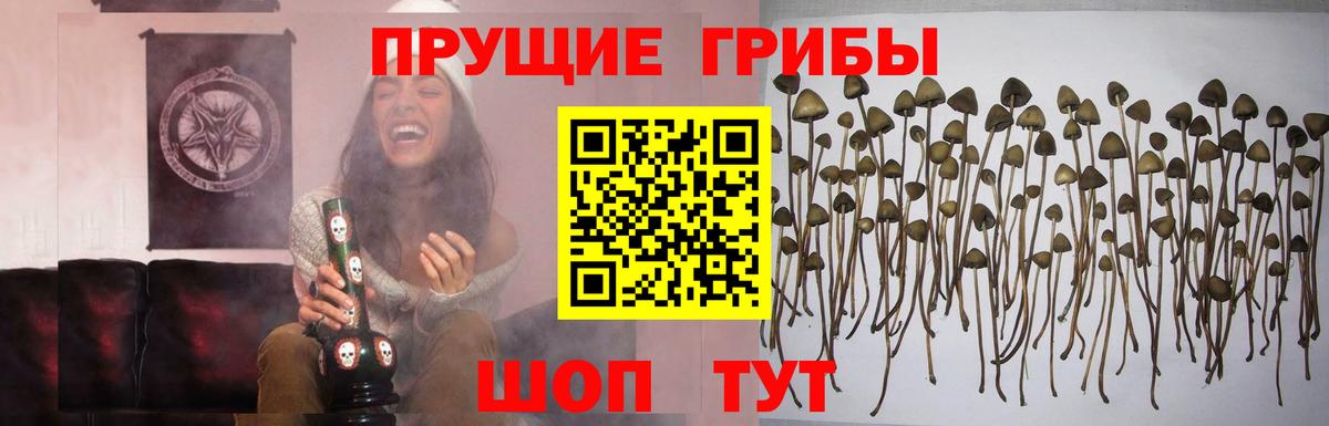 МЕФ Дубна