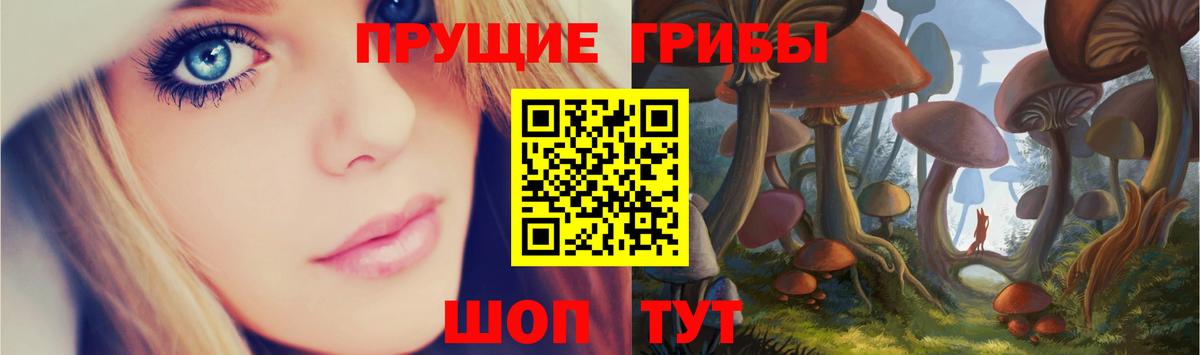 Псилоцибиновые грибы Psilocybe  как найти наркотики  Дубна  Псилоцибиновые грибы Psilocybe  Вход с VPN 